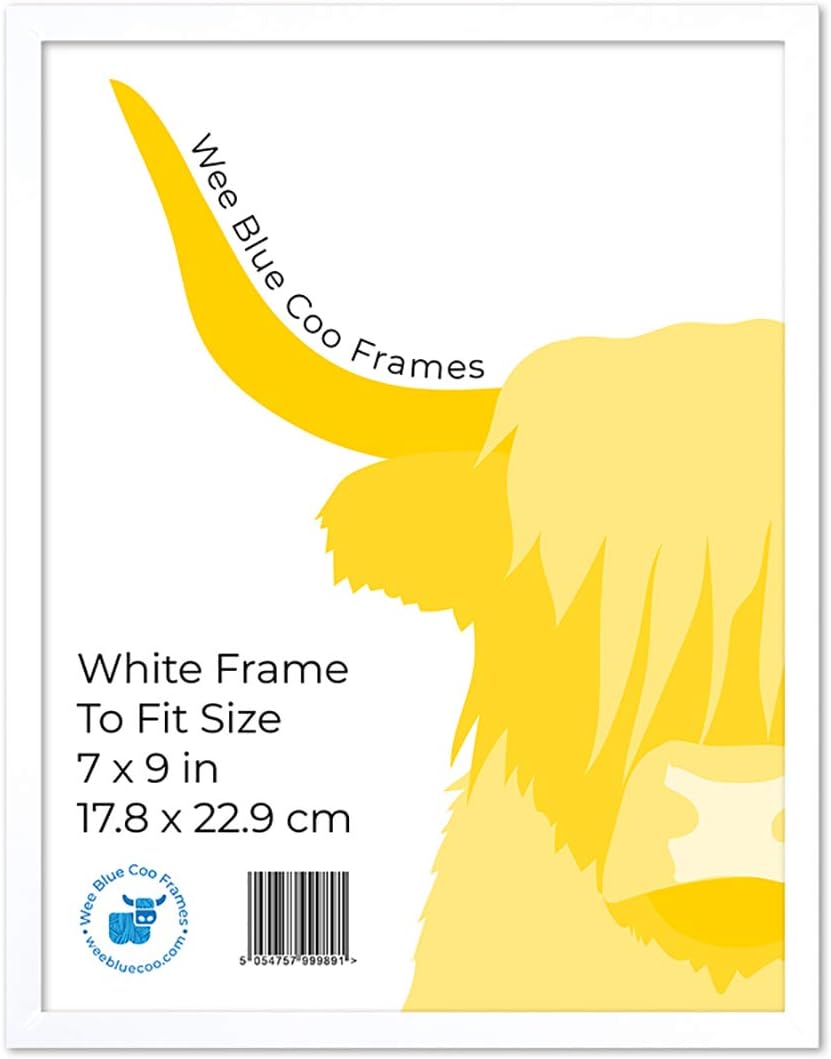 Wee Blue Coo 9x7 Light Oak Wooden Picture Frame 9 x 7 Inch (22.86 x 17.18cm) Picture Framing Glass Photo Frame