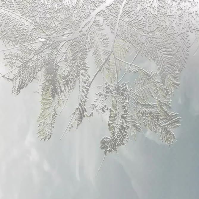 Papier peint 3D stéréo chambre et salon déco nature feuille moderne 350x256cm