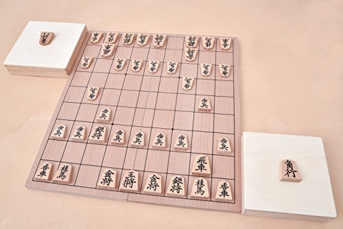 将棋アプリで初段になるまでにやること 表裏一体ポジティブブログ 悪いことも視点て良いことに思おう