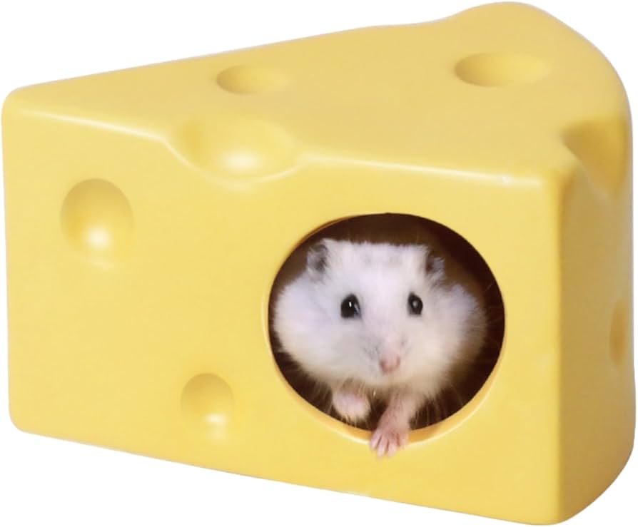 Amazon | Avidora ハムスターハウス 家 陶器ハウス 隠れ家 ひんやり