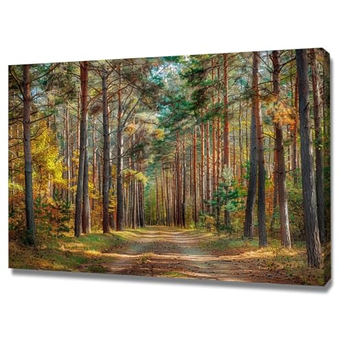 Impression sur toile decoration murale moderne paysage encadre 40x60