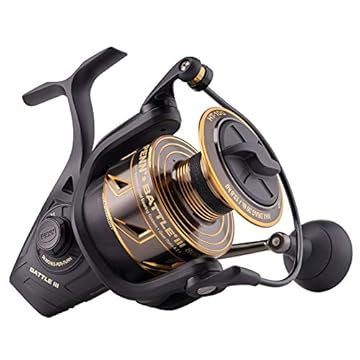 best spinning reel for shore fishing