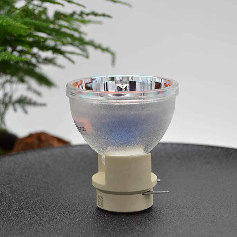 Lampe P-VIP 240/0.8 E20.8 haute luminosité pour projecteur - 4