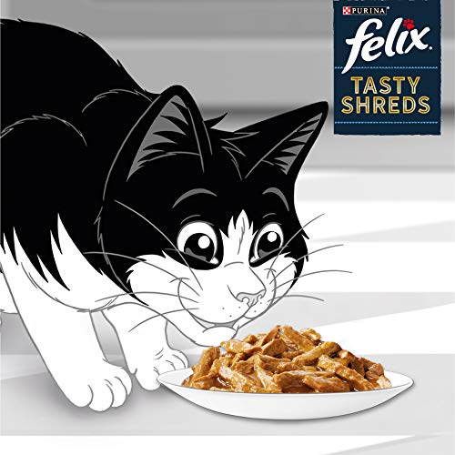 Felix Tasty Shreds Katzenfutter nass in Sauce, Geschmacksvielfalt vom Land, 6er Pack (6 x 10 Beutel à 80g)