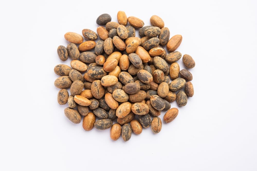 Vedbaba Jamalgota for Hair β 100g | Croton Tiglium | Jamalghota Beej | Jamalgota Beej | Jamal Gota | Make Paste 1