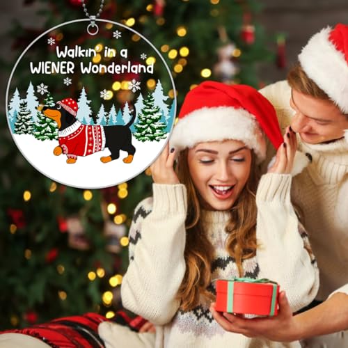 Dachshund Christmas Ornaments 2026, Weiner Dog Ornaments for Christmas Tree Decorations, Dachshunds Gifts for Women - Dachshund Through The Snow — view 5