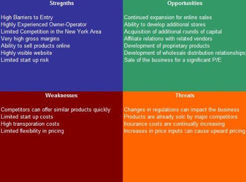 Dermatology Practice SWOT Analysis Plus Business Plan WantItAll