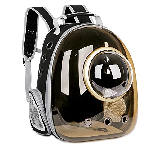 KJOET L ybg [obO ̃XO FDJvZ^ ybgpL[obO jR L L pi ƗsAAEghAAVїp (F)