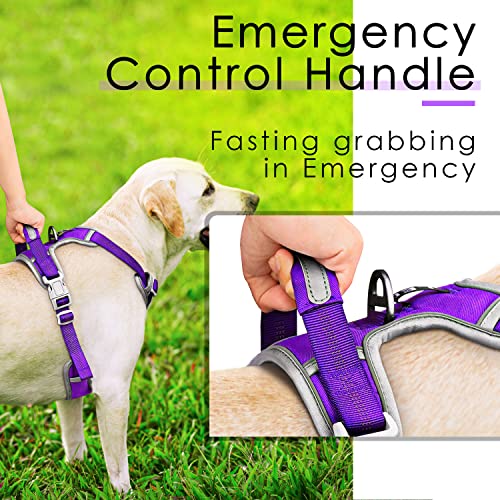 Thinkpet No Pull Harness Breathable Sport Harness With Handle-Dog Harnesses Reflective Adjustable For Medium Large Dogs,Back/Front Clip For Easy Control L Neon Purple #TOP4