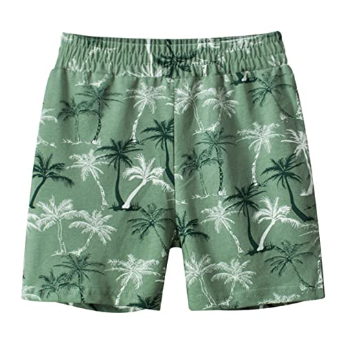Moonker Toddler Boys Summer Baggy Shorts Coconut Tree Printed Elastic Waist Casual Shorts Outwear Boy Outfits 18