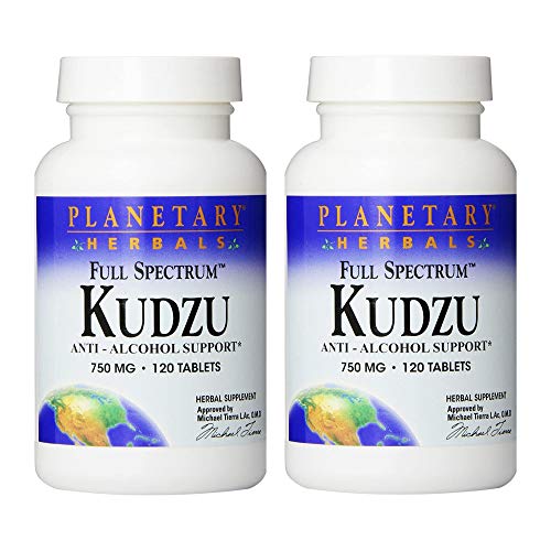 Preisvergleich Produktbild Planetary Herbals, Kudzu, 750mg, 120 Tabletten (2er Pack)