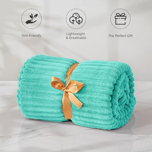 Image of BEDELITE Fleece Throw Blanket for Couch - 3D Ribbed Jacquard Soft and Warm Decorative Fuzzy Blanket - Cozy, Fluffy, Plush Lightweight Aqua Throw Blankets for Bed, Sofa, 50x60 inches