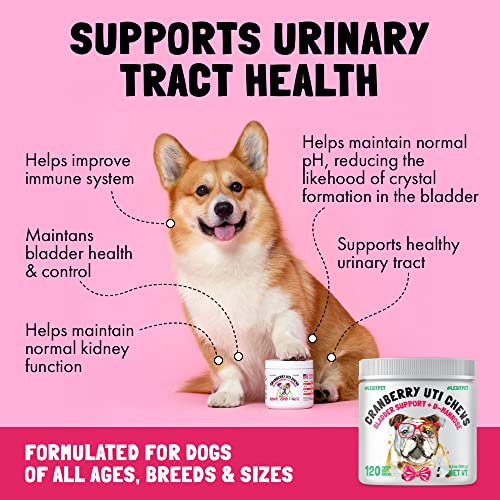 Cranberry UTI Chews for Dogs Bladder Suppot + D-Mannose Supports Kidney Urinary Tract and Bladder Health Natural Cranberry Wellness Supplement Immune System Booster Natural Pet Antioxidant 120 Chews