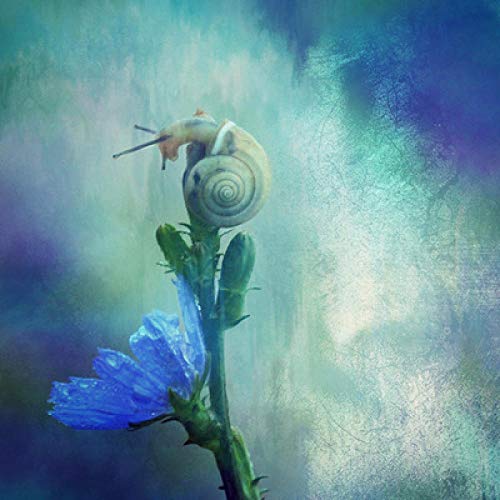 Broderie diamant escargot de brume 5D en résine haute brillance