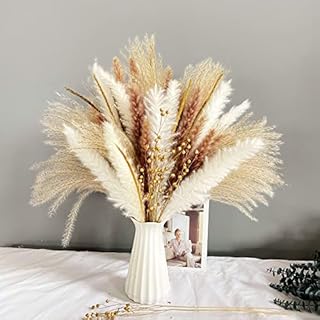 90Pcs Natural Pampas Grass Natural Dried Flowers Bouquet Fluffy Pampas Grass Decor with 5 Different Flower Variants Ideal for Vases Decoration Boho Room Decor Wedding Decor