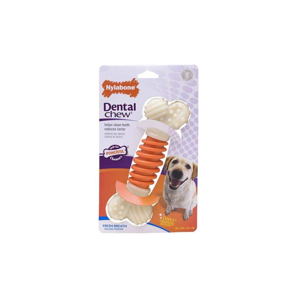 Nylabone Dental Chew Pro Action