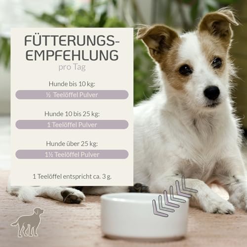Provicell | Beruhigungsmittel für Hunde I Ideal für Silvester & Urlaub I Natürliche Entspannung mit Baldrian und Melisse I Mit Tierärzten in Deutschland entwickelt | RelaxVital Pulver 60 g