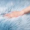 Amazon.com: Ashler faux fur rug, Fluffy Shaggy Area Rug Ultra Soft 2 x ...