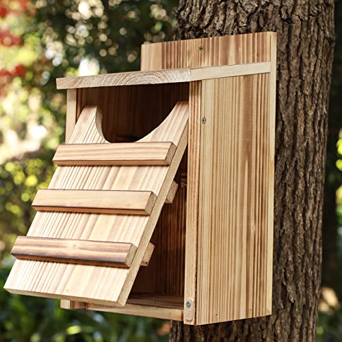 Owl House Owl Box #TOP2