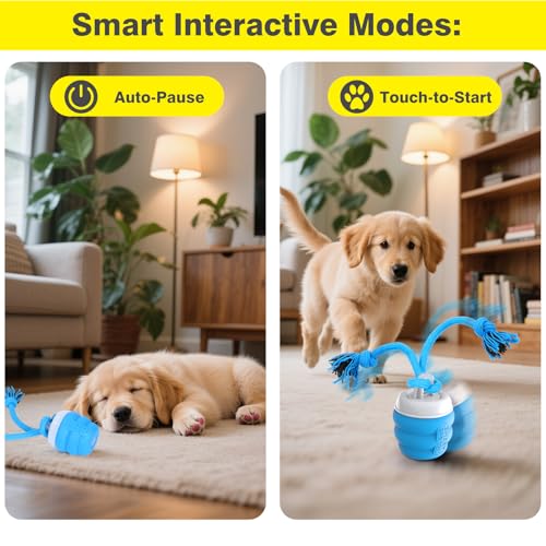 Interaktives Hundespielzeug, Interaktiver Spielball für Hunde，Zauberball Hund, Elektrischer Spielball mit Schwanz, Reduziert Langeweile & Stress, für kleine/mittlere Hunde, Weihnachtsspielzeug(Blau)