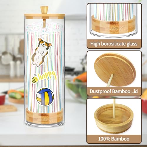 Straw Holder Dispenser with Plastic Straws and Random Style Stickers, 10in Clear Glass Straw Organizer Container for Kitchen Counter