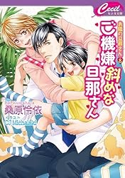 お隣の旦那さんシリーズ 文庫 1-13巻セット (セシル文庫) みーくんと旦那さん―旦那さんシリーズ番外編 (セシル文庫 く 1-5