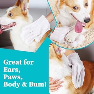 Pet Cleaning & Grooming Glove Wipes, Hypoallergenic Dog Deodorising Bath Wipes, Easy Dry Cleaning Gloves Cat Wipes, Nourishing Fur Wipes, For Grooming Between Baths & Daily Care, Travelling (6 PCS ) Pet Cleaning & Grooming Glove Wipes, Hypoallergenic Dog Deodorising Bath Wipes, Easy Dry Cleaning Gloves Cat Wipes, Nourishing Fur Wipes, For Grooming Between Baths & Daily Care, Travelling (6 PCS )