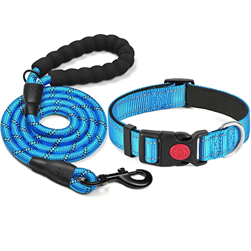 haapaw Collar de Perro Reflectante Acolchado con Neopreno Suave Collares de Perro de Nailon Ajustables Transpirables para Per