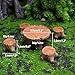 XFGSYXS 5 Pcs Fairy Garden Accessories Outdoor Miniature Table and Chairs Set Mini Resin Furniture Ornaments Kit Micro Landscape Decor for DIY Craft Gift Dollhouse Succulents Home Decoration
