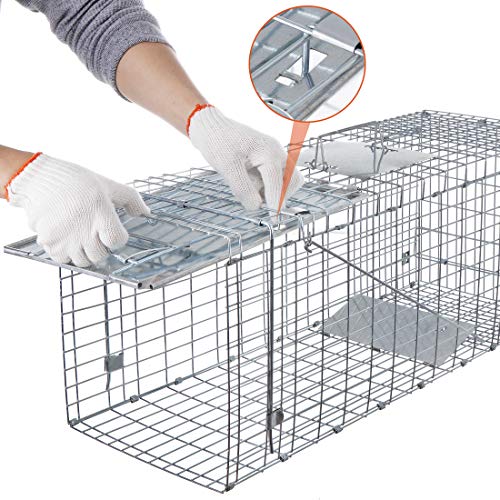 ANT MARCH Live Animal Cage Trap 32''x11.5"x13" Steel Humane Release Rodent Cage Iron Door for Rabbits, Stray Cat, Squirrel, Raccoon, Mole, Gopher, Opossum, Skunk, Chipmunks, Groundhog - Image 5