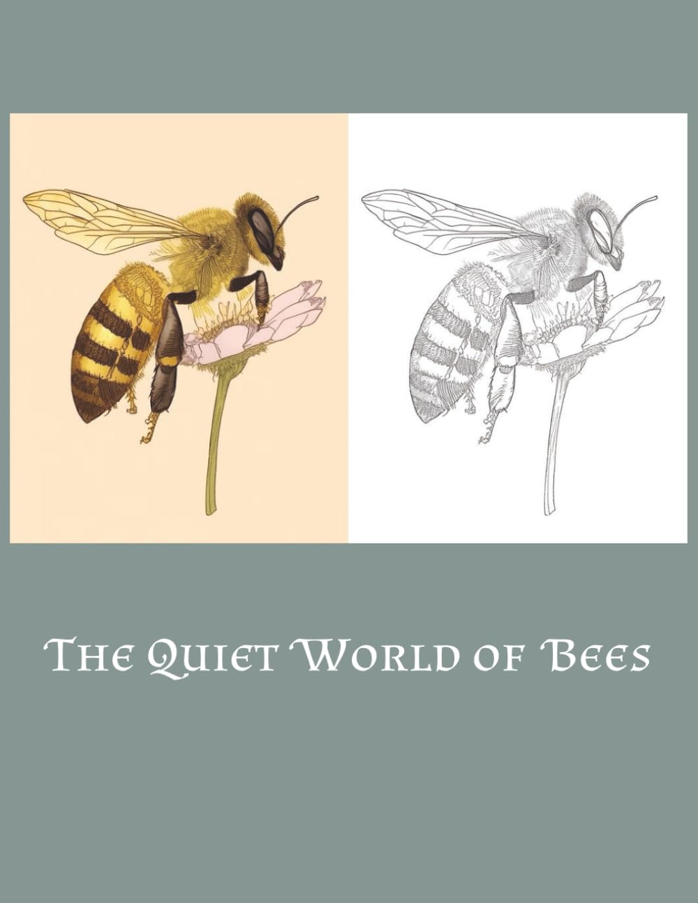 The Quiet World of Bees: A Detailed Adult Coloring Book