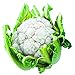 Blumenkohl, Stück ck Blumen günstig Kaufen-Blumenkohl, Stück