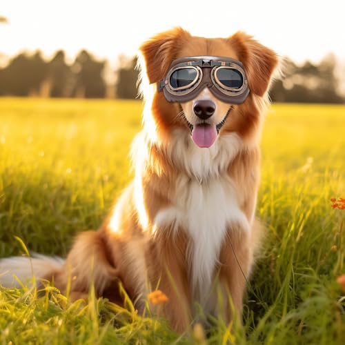 MisFun 1Pcs Retro Hundebrille, Sonnenbrille Hund Brille Hund UV-Schutz, Hundesonnenbrille für Mittel Große Hunde, Sonnenbrille Hunds mit Verstellbare Riemen, für Autofahren/Outdoor-Aktivitäten