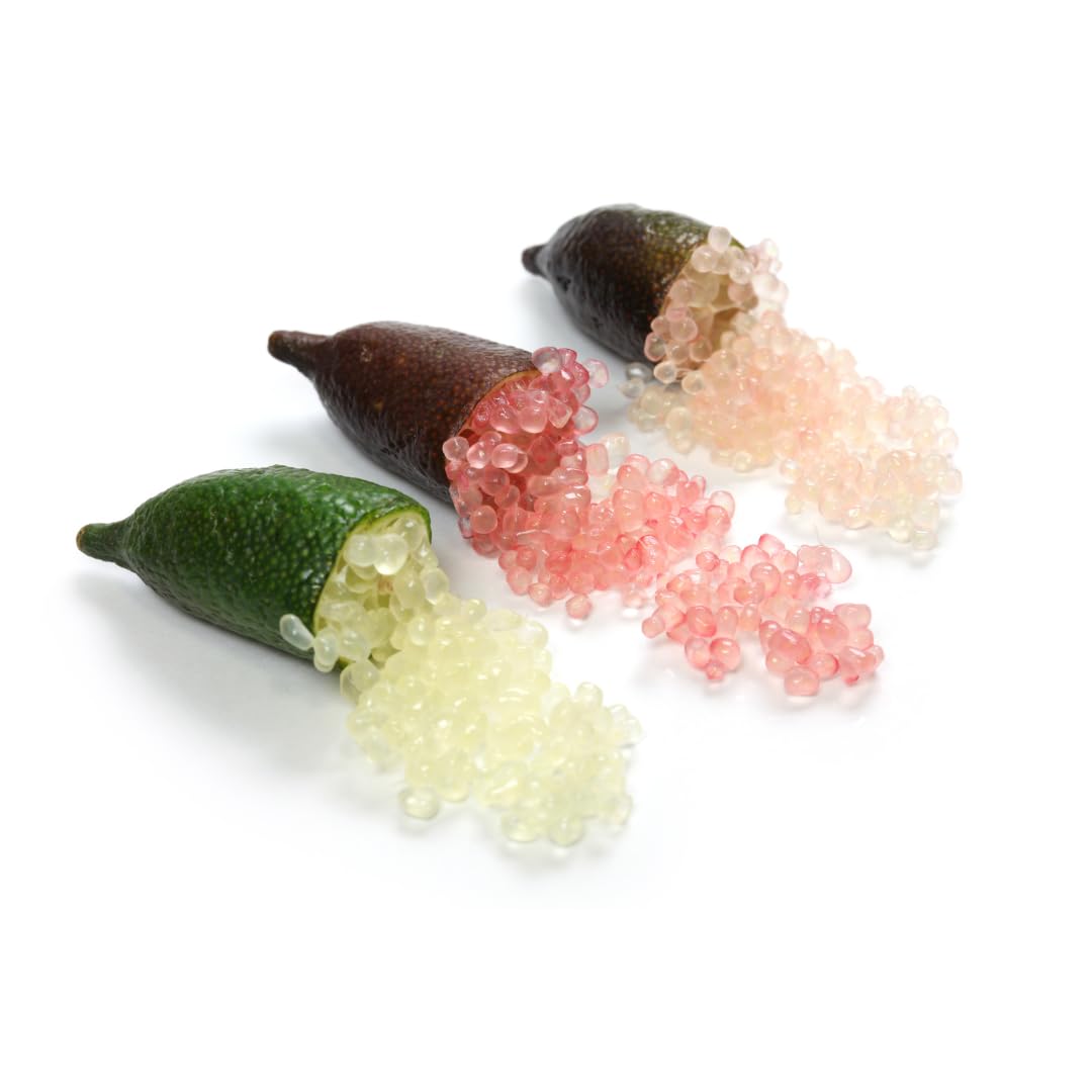 Limone Caviale Rosso Pianta da Frutto