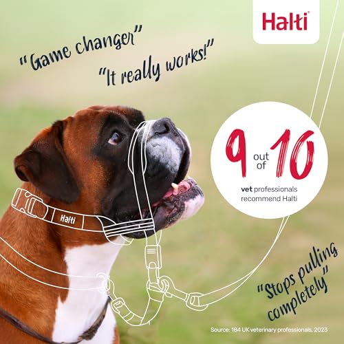 Halti Optifit Halfter und Trainingsleine Kombipack, Stop Dog Pulling on Walks with Halti, Inklusive Medium Optifit Halfter und Doppelendleine, Schwarz, Medium Halfter (14324W)