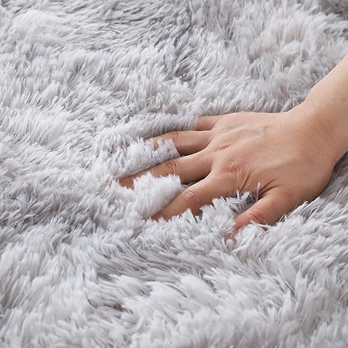 ISMOL Super Fluffy Rug 4x6 Feet Shaggy Bedroom Area Rug Plush Non-Slip Rug for Living Room Kids Room Modern Soft Furry Carpet for Nursery Room Light Grey 4 51gi1LE900L. AC
