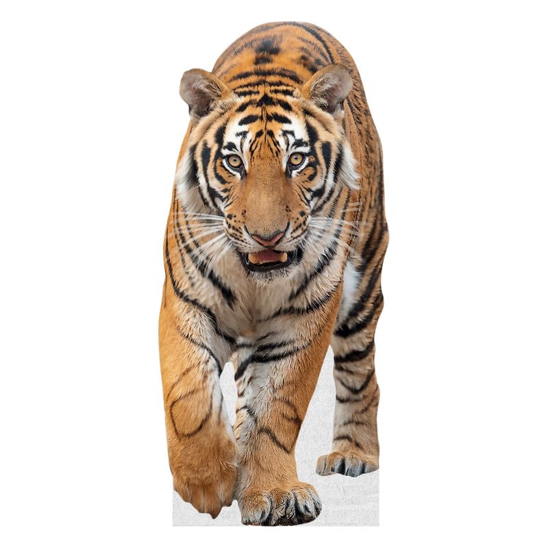 Tiger - Life Size Cardboard Cutout Standup People with Support Standee | Animals -