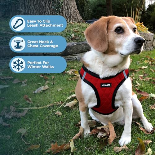 Image of Best Pet Supplies Step-in Dog Harness - Soft, Reflective, 5 ft Leash Combo with Neoprene Handle for Small & Medium Dogs - Red Plush, XS