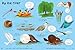 Nature Sticker Book