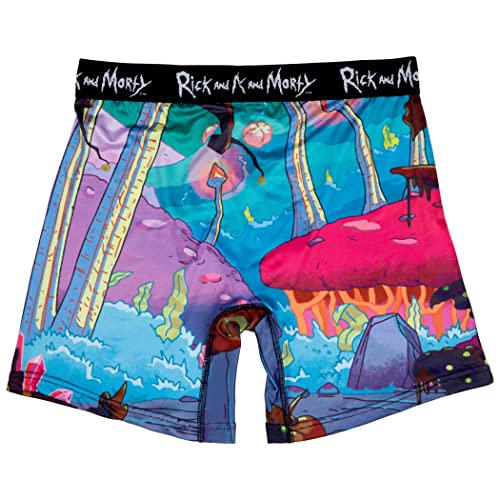 Rick and Morty Chased Out Of Portal Boxer Briefs (as1, alpha, one_size, regular, regular, Large (36-38))4