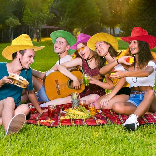 Image of Hercicy 24 Pcs Straw Cowboy Hats Cowgirl Party Multicolored Cowboy Hats Bulk Colorful Western Style Country Accessories for Men Women Cowgirl, Concerts, Birthday