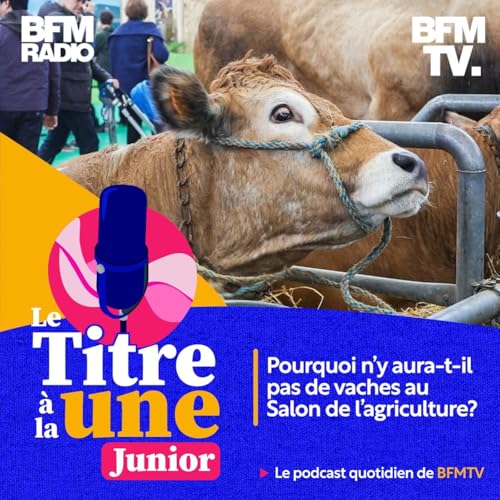 Pourquoi n&rsquo;y aura-t-il pas de vaches au Salon de l&rsquo;agriculture?