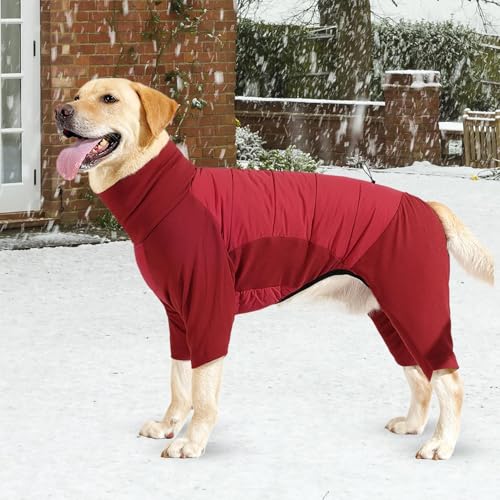 Vêtements pour chiot contre le froid à col montant