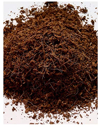 Cocopeat (Brown, 900)-picture-21