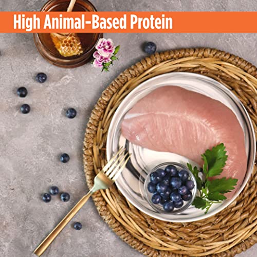 Nulo Freestyle Grain-Free Healthy Dog And Puppy Training Treats, Low Calorie Treats Made With Superfood Boost Ingredients, 2 Calories Per Treat #TOP2