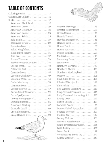 Image of Great Coloring Book of North American Birds: 144 Info-Packed Pages to Color & Learn (Design Originals) Realistic Wild Bird Designs and Fun Facts on Perforated Pages - Songbirds, Waterfowl, and More