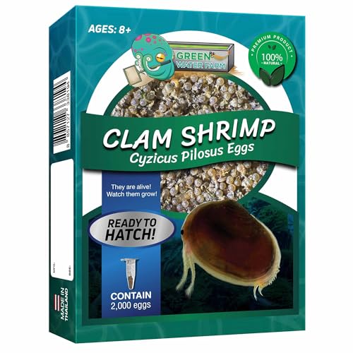 GreenWaterFarm Clam Shrimp Cyzicus Pilosus Eggs for Hatching and Culture Suitable to be Pet and Science Project (Pure 2 000 Eggs)