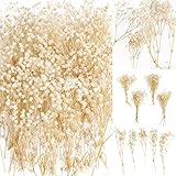 50Pcs Mini Dried Baby's Breath Flowers for Resin Art Craft DIY, 3000+ Natural Ivory White Bulk Flowers, Pressed Gypsophila Bouquet Gift for Mother, Wedding Wreath, Card Making, Home Decor