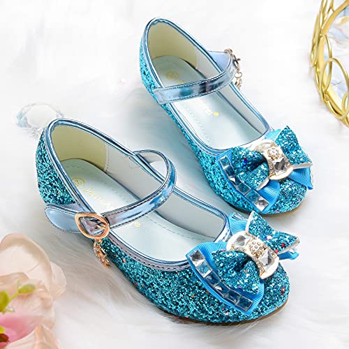 Flower Girls Princess Costume Party Dress Glitter Shoes Mary Janes3