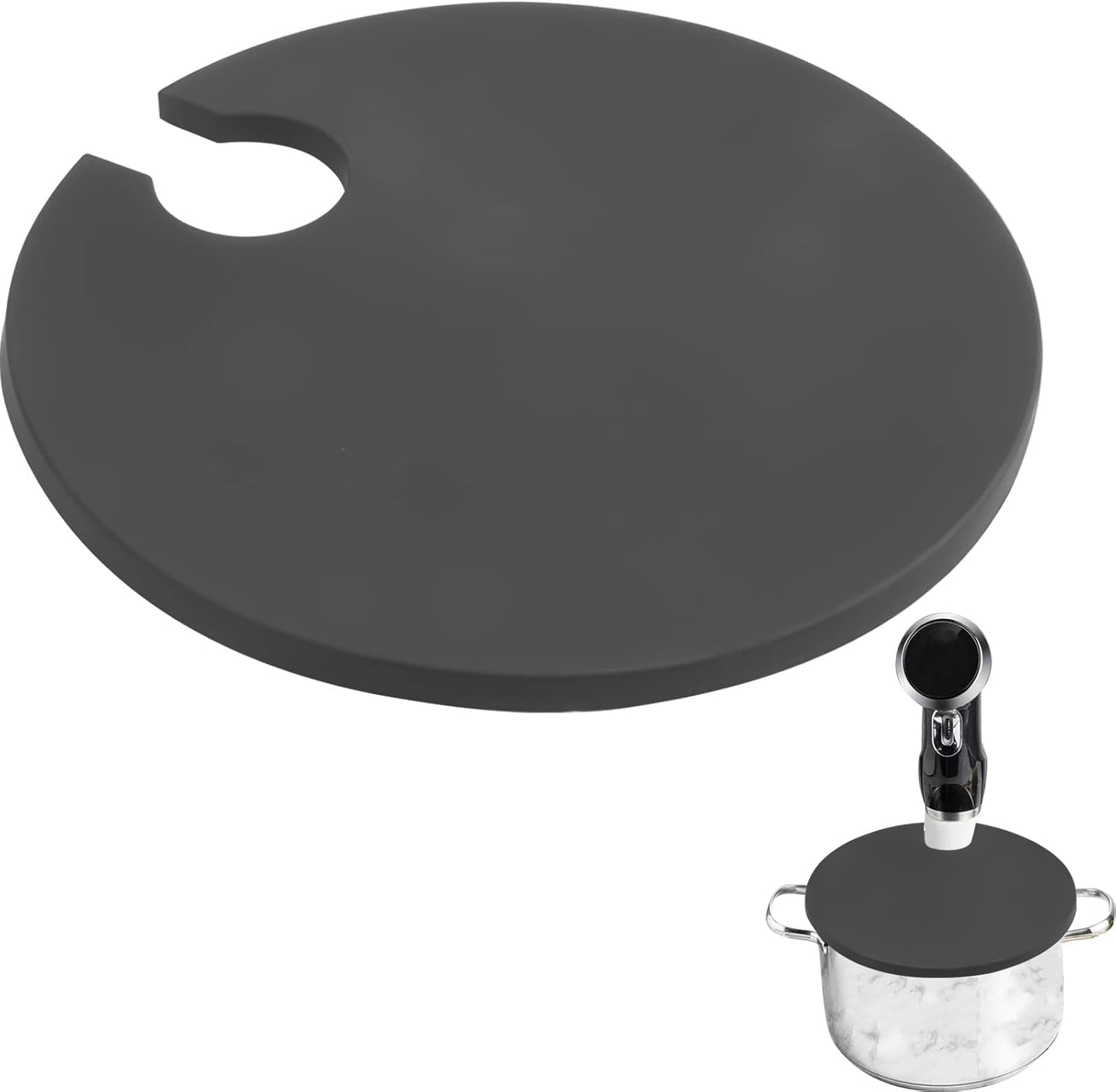 Sous Vacuum and Vide Lid Cooking Sous Vacuum and Vide Cooker Fits Up to 10.5